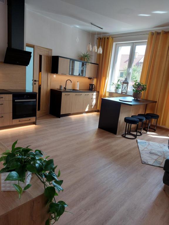 un ampio soggiorno con cucina e sala da pranzo di Apartament Rodzinny a Mrągowo