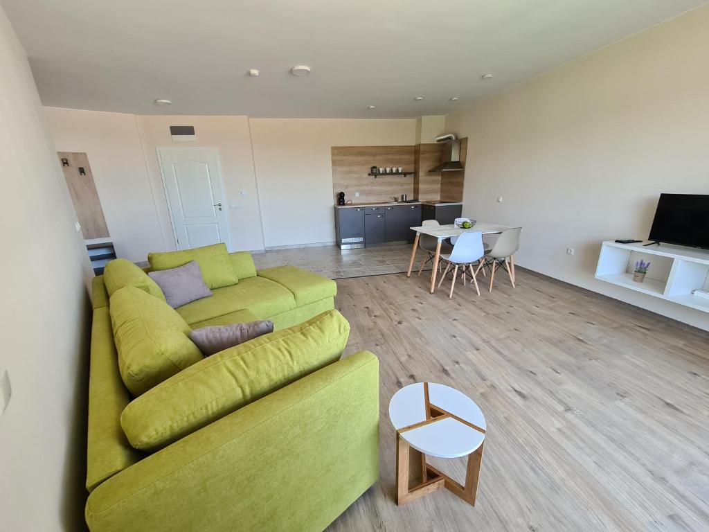 普里莫爾斯科的住宿－Aparthotel Happy，一间带绿色沙发的客厅和一间厨房