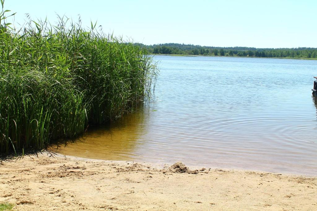 Príroda v okolí dovolenkového domu