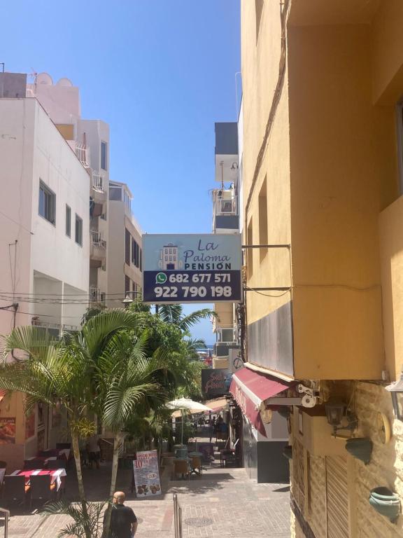 Hostales o pensiones Pensión La Paloma en Arona, Tenerife