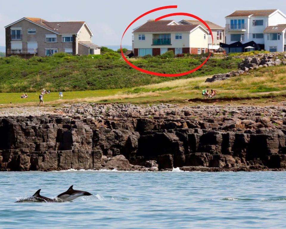 a dolphin in the water in front of a house at Sea View 5 Bed House Next To Water Sports & Golf in Porthcawl