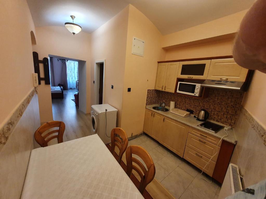 Kuchyň nebo kuchyňský kout v ubytování Evergreen apartments hotel