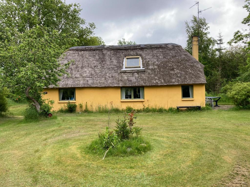 a yellow house with a thatched roof in a field at Mor’s hus Læsø in Læsø