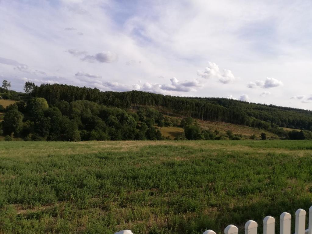 Ferienwohnung Altmaier - Ferien auf dem Lande - Apartamento De Una Habitación