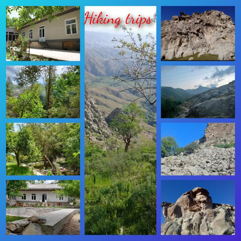 a collage of pictures of mountains and rocks at FOREST Guest House in Mirzakishlak