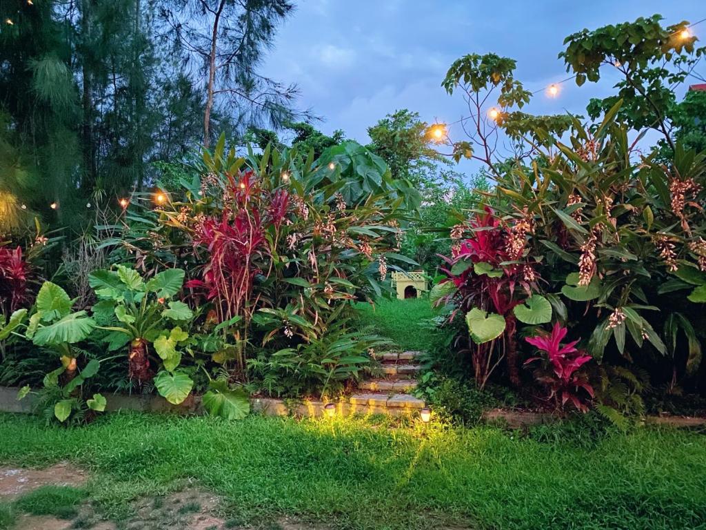 Zahrada ubytování 猫とピアノと星空のリゾートブティックコテージ -Starry Forest Cottage Okinawa-
