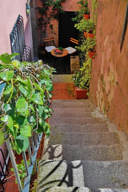 a stairway with plants and a table in a building at Casa da Belavista in Porto