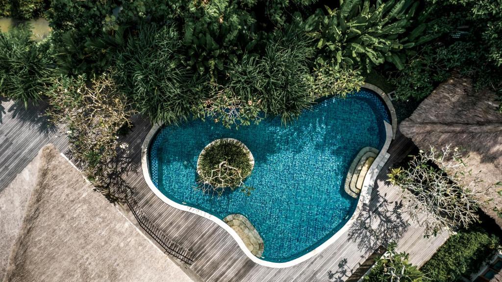 an overhead view of a swimming pool with a plant at Kharista Villas & Retreat by Ekosistem in Canggu