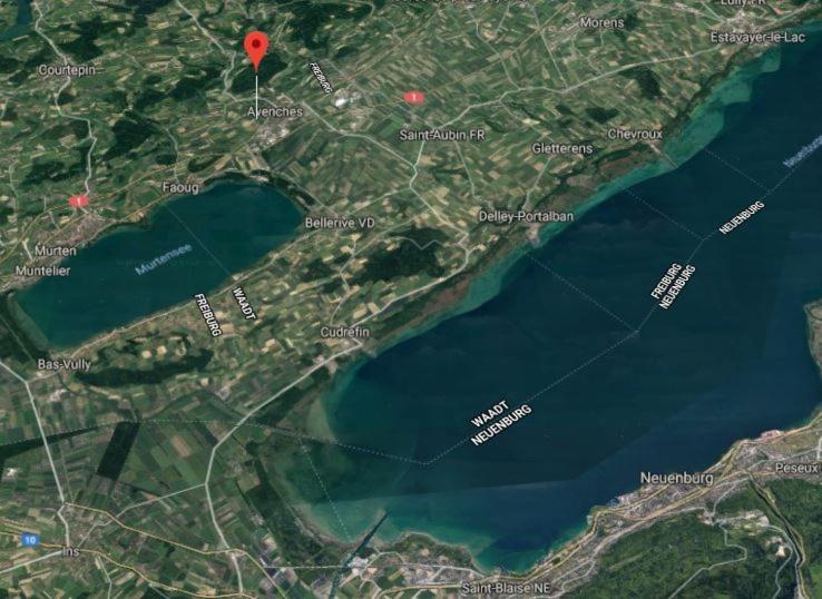 Příroda nedaleko apartmánu