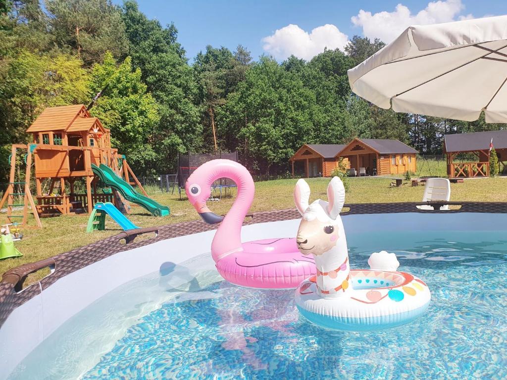 a pink swan and a bunny in a swimming pool at Kurdybanek - Domki letniskowe in Stegna