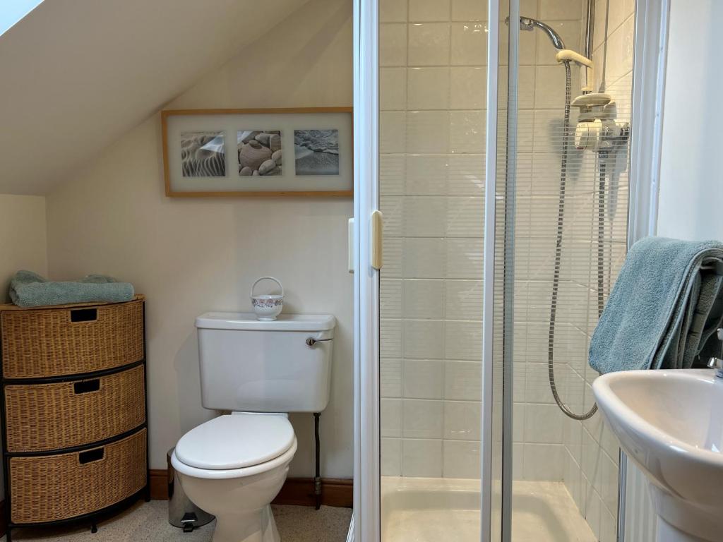 a bathroom with a shower and a toilet and a sink at Cheerful 3 bedroom cottage in central location in Ambleside