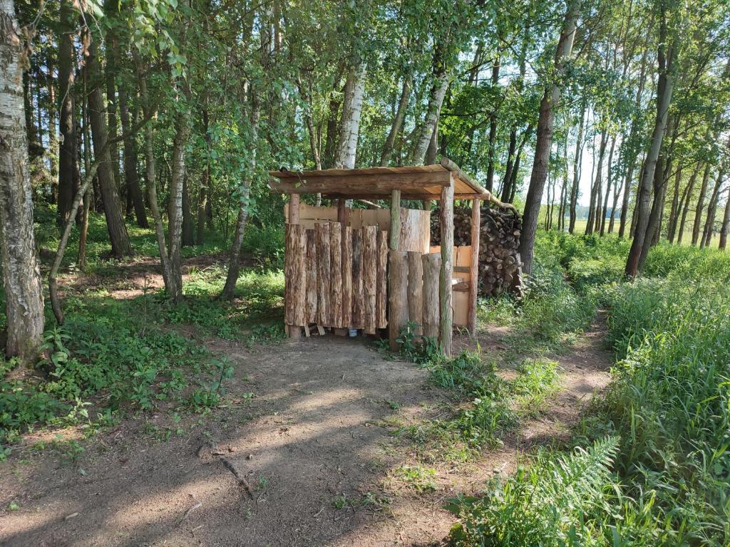 Fotografie z fotogalerie ubytování NA VĚTVI v destinaci Humpolec