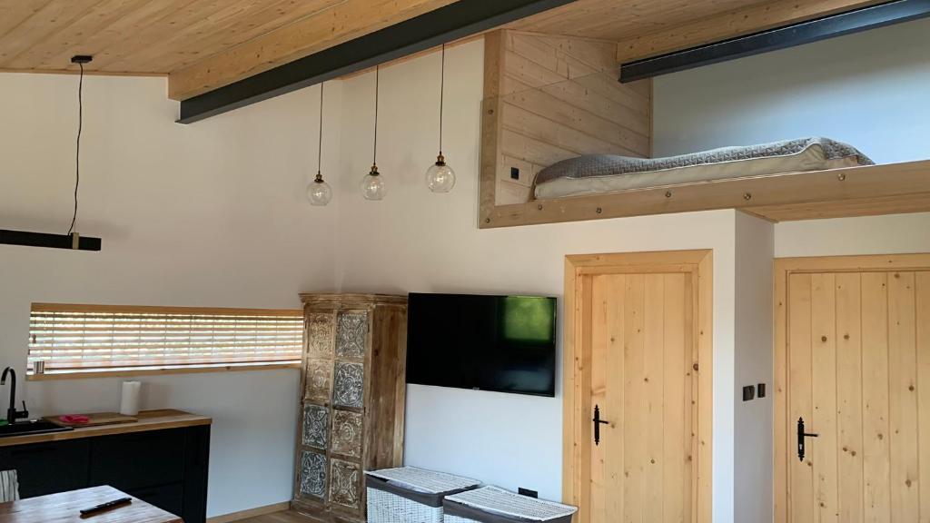 Televízia a/alebo spoločenská miestnosť v ubytovaní Apartamenty u Kołodzieja