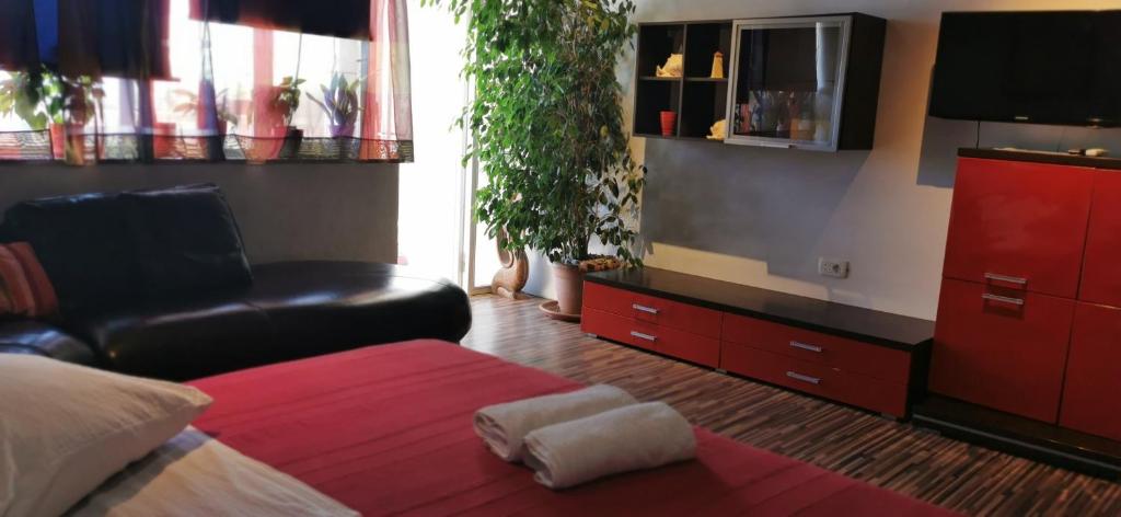 Kuchyňa alebo kuchynka v ubytovaní Villa Bose- Apartmani Luka Šodan