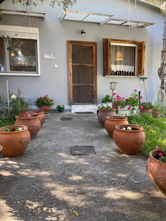 um monte de vasos de flores em frente a uma casa em Evak Chalet em PalaiónTsiflíkion