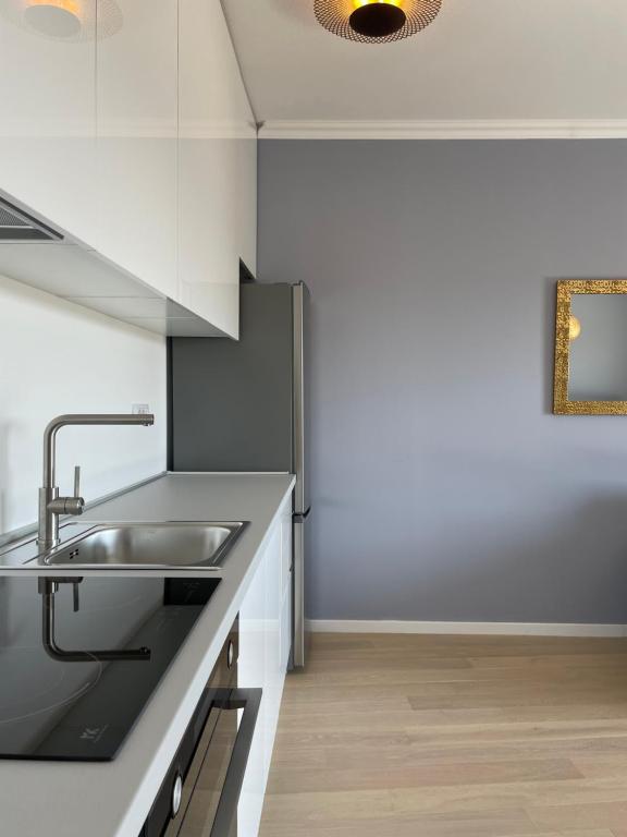 Kuchyň nebo kuchyňský kout v ubytování Lux Nanea Apartment