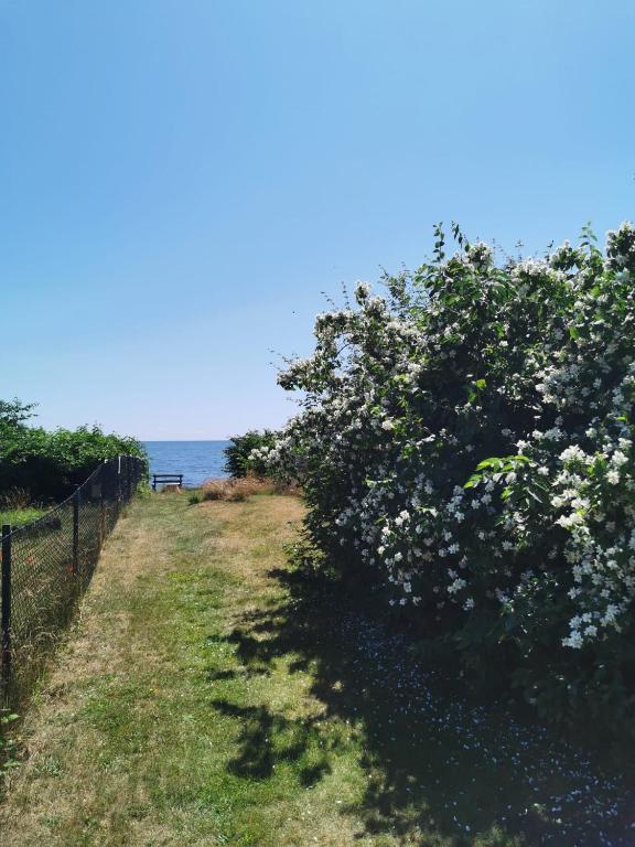 Sea-view apartment in beautiful Smygehamn - Appartement Met Drie Slaapkamers