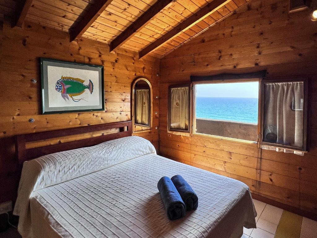 Příroda nedaleko hotelu