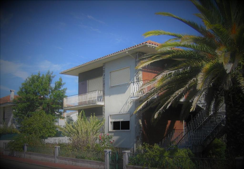 a house with a palm tree in front of it at Moradia santa comba in Santa Comba Dão