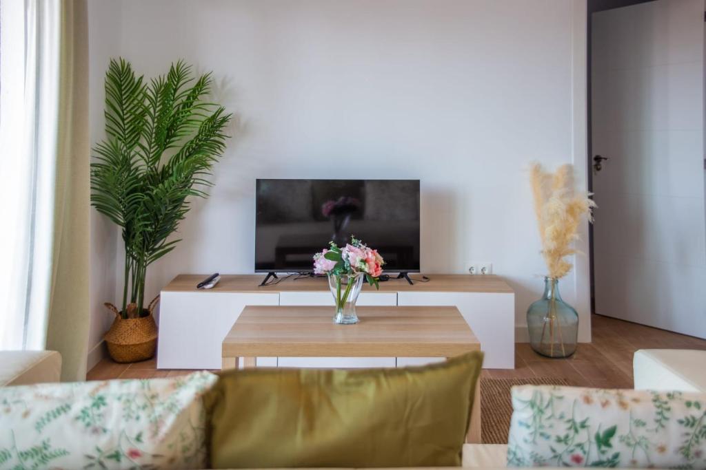 Televízia a/alebo spoločenská miestnosť v ubytovaní Luxury Casa del Sol Malaga centro