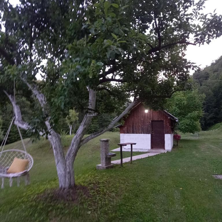 Zahrada ubytování Love Shack