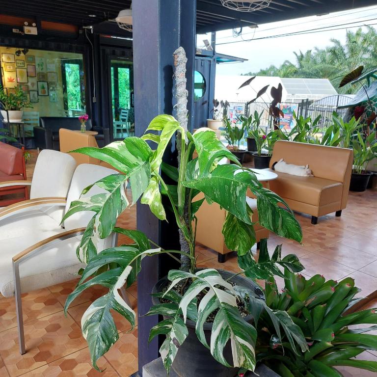 Fotografie z fotogalerie ubytování Kipbox Hotel Trang v destinaci Trang