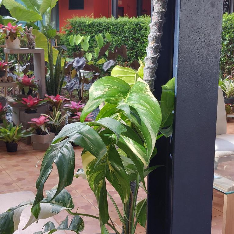 Fotografie z fotogalerie ubytování Kipbox Hotel Trang v destinaci Trang