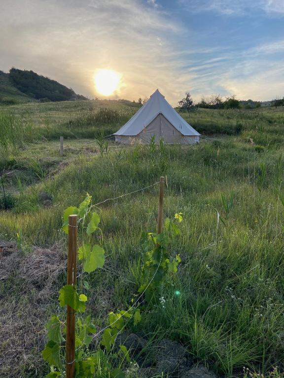 Glamping Orange Valley