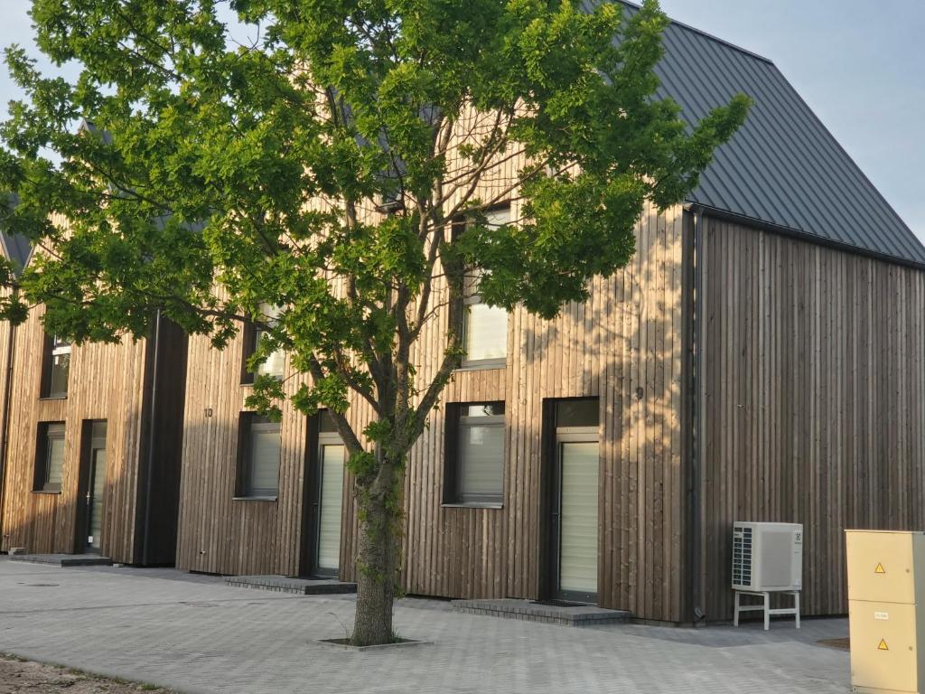 a tree in front of a building at Pajūrio Ąžuolo Istorija 10 in Palanga