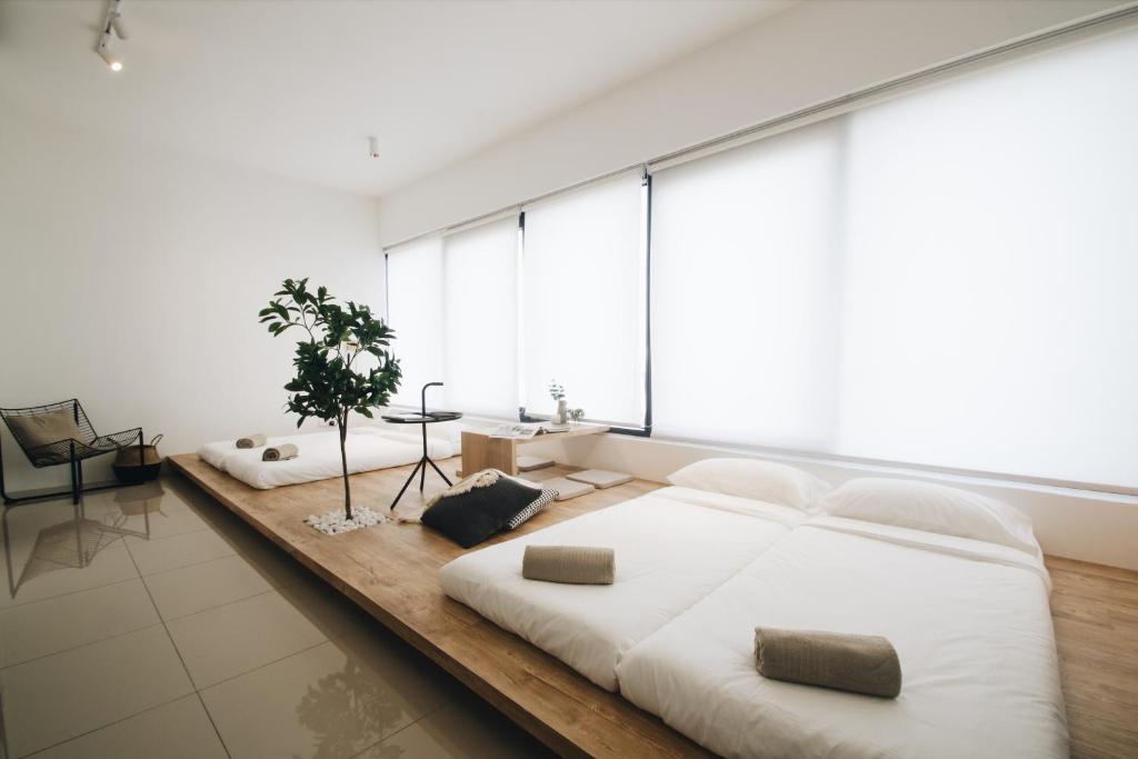 Tropicana 218 MACALISTER - 