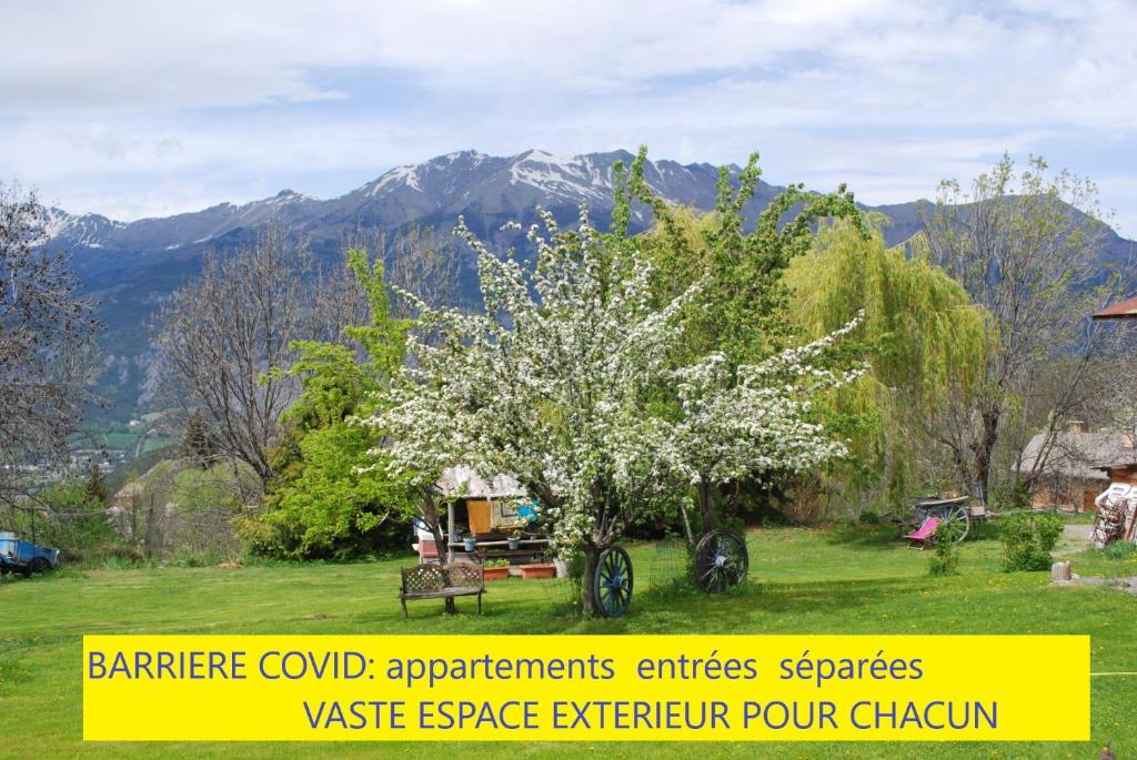 a flowering tree in a yard with mountains in the background at Le Clos Du Berger in Le Sauze