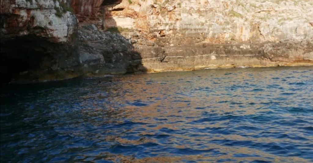 Paesaggio naturale nelle vicinanze della casa vacanze