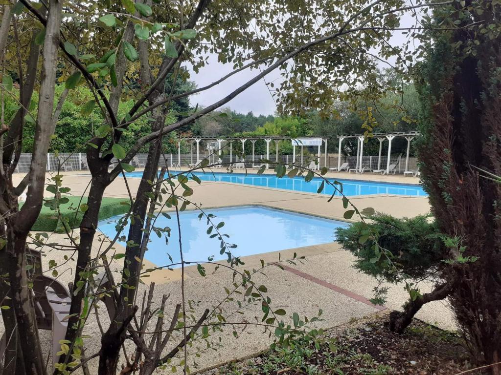 a large swimming pool in a park with trees at Mobil-home "Le pin bleu" à St-Paul-les-Dax in Mées