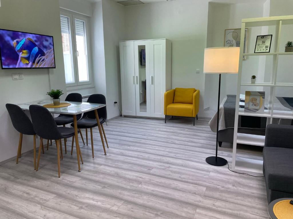 Apartment Studio Beauty in Centar - 12