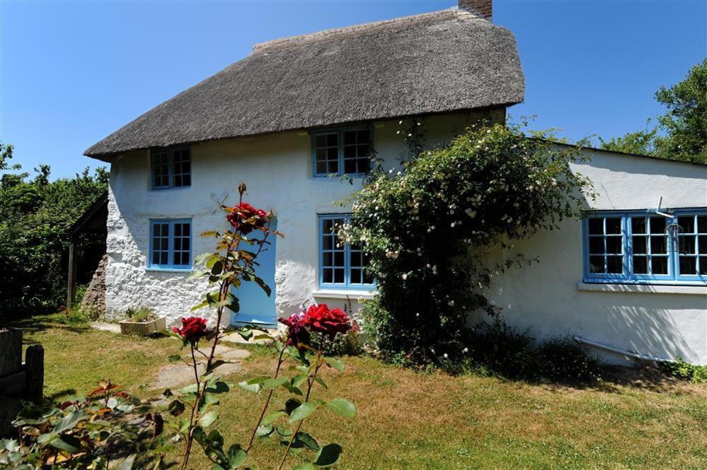 a white cottage with a thatched roof at St Gabriels Cottage in Charmouth