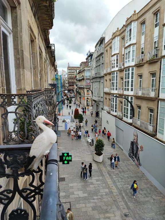Hosté ubytování CarreraHouses Gaivota