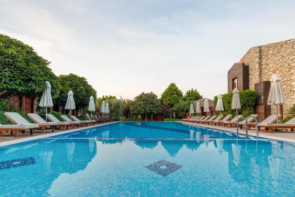 a large swimming pool with chairs and umbrellas at Luna Begonvil Tas Evler in Selimiye