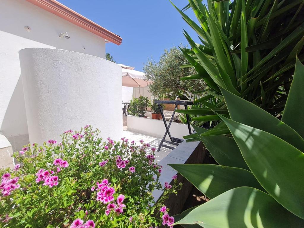 Zahrada ubytování Casa Vacanza Delfino Azzurro - Noto Marina -