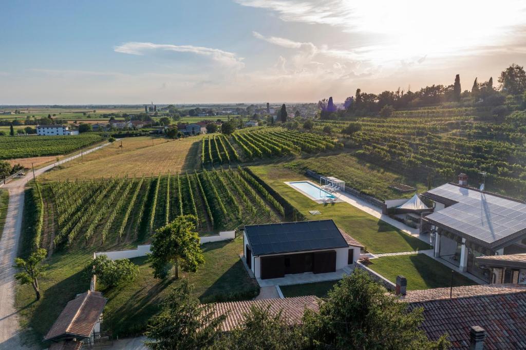 an aerial view of a vineyard with a house and a building at Meridiano in Cividale del Friuli