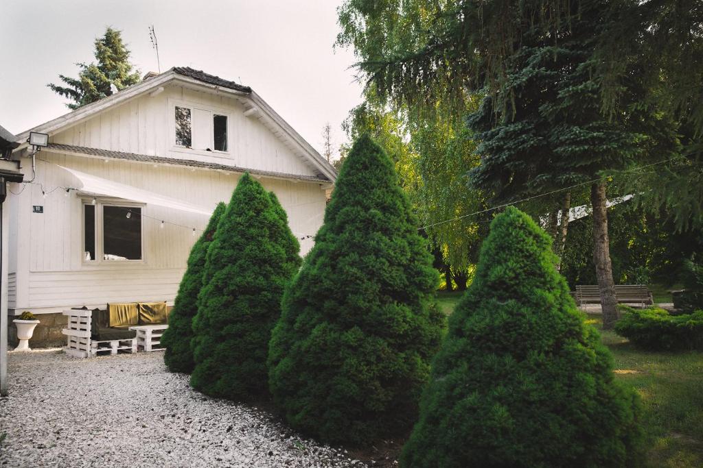 un grupo de árboles de hoja perenne frente a una casa en Domek na wsi - Fyrtokfest en Frysztak