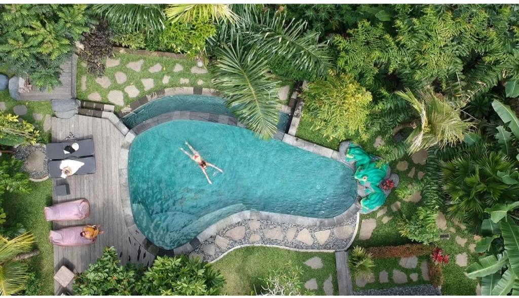 an overhead view of a swimming pool with a person in it at Mirah Guest House in Tampaksiring