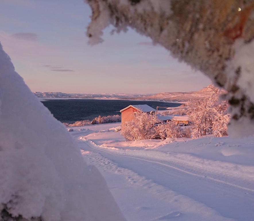 eine schneebedeckte Straße mit einem Haus in der Ferne in der Unterkunft Nesseby Guesthouse in Varangerbotn