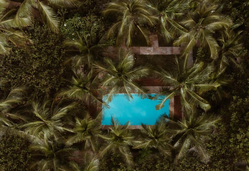een uitzicht over de palmbomen en een zwembad bij LAGOA do VENTO ATINS in Atins