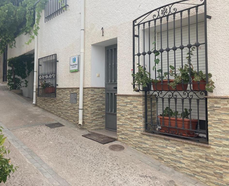 盧凱內納-德拉斯托雷斯的住宿－Alojamiento rural Los Pérez Lucainena de las Torres，旁边是种盆栽植物的建筑