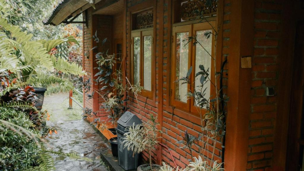 Zahrada ubytování Puri Sunny Guesthouse