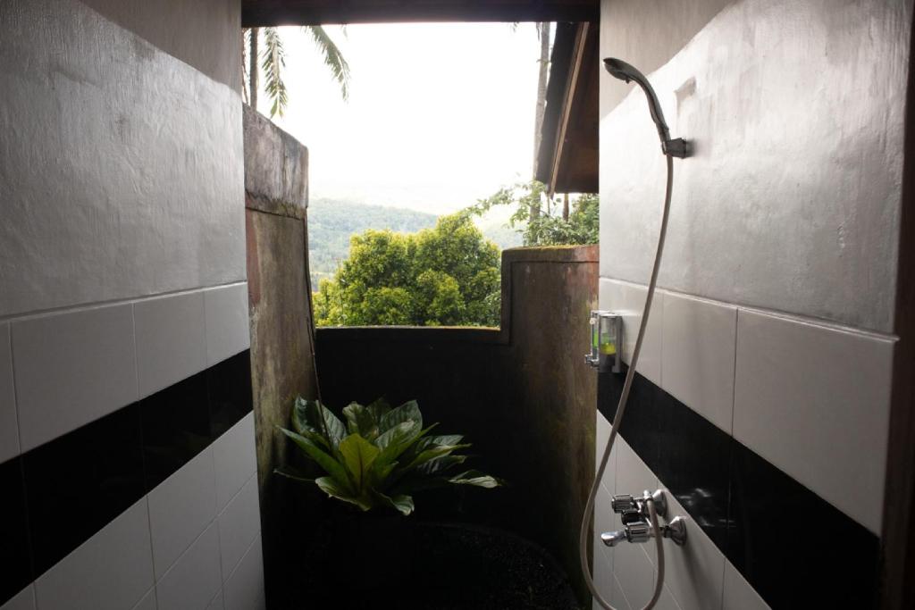 Puri Sunny Munduk , North Bali - 19