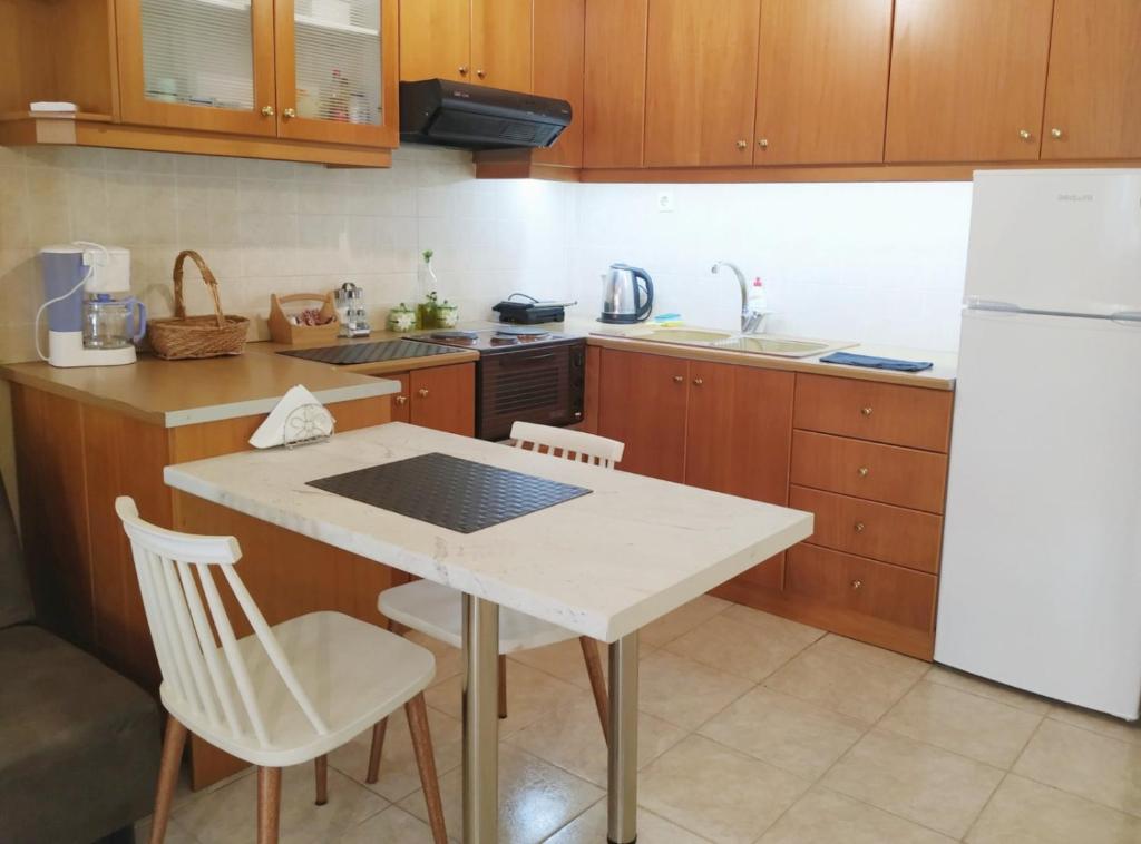 A kitchen or kitchenette at OSCAR STUDIO KALAMATA city centre