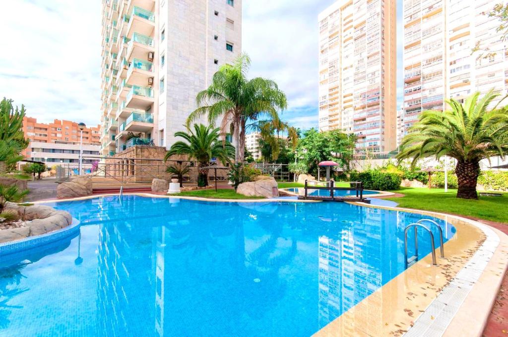 One bedroom appartement with sea view shared pool and ...