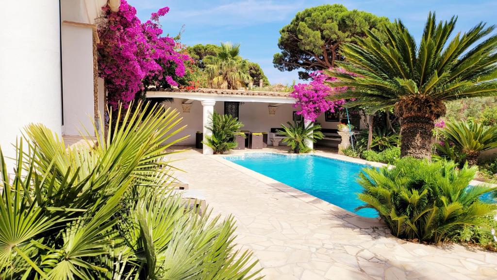 サント・マキシムにあるVilla Provençale avec piscine privée, très proche de la mer, dans un domaine privé et surveillé par camera, parking gratuitのヤシの木が茂るヴィラ