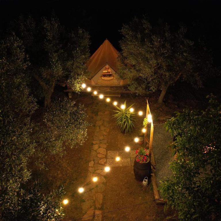 Zahrada ubytování Golden Camp